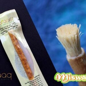Siwak Arraq brosse à dent naturelle appelé aussi miswak ou bois d'araq (bâton d'arak), est une branche de l'arbuste Salvadora persica