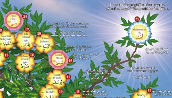 Poster : L'arbre généalogique des prophètes grand format idéale pour décorer la chambre de vos enfants de manière ludique et profitable