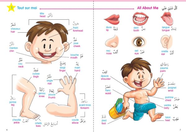 Mon Grand Imagier Dictionnaire Trilingue Arabe - Français - Anglais format A4 avec ses magnifiques planches thématiques, tout en couleurs