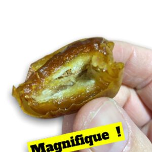 Datte Sukkari de Médine 500g elles sont très connues pour leur texture mielleuse et leur goût excellent qui est unique.