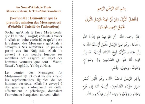 La Dissipation des équivoques (Bilingue) est une réponse aux polythéistes qui mettaient l’accent sur les versets coraniques qui peuvent prêter à équivoque